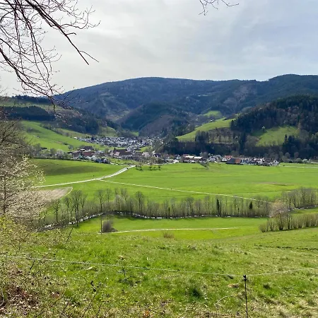 Apartment Schwarzwaldglueck Oberried (Breisgau)
